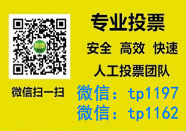 三沙市微信手动投票费多少钱让我告诉你微信投了多少